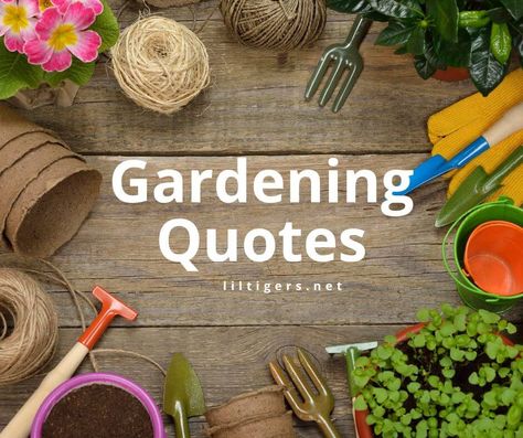 My Garden Quotes, Garden Phrases, Funny Gardening Quotes, Garden Quotes Inspirational, Kids Stem Projects, Quotes About Gardening, Gardening Quotes Inspirational, Sayings For Kids, Quotes For Adults