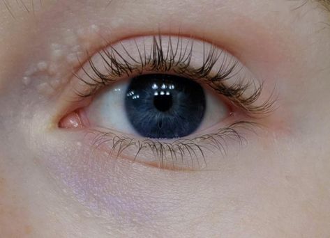 Its commented on a few times that his eyes seem an unreal blue & people try to see if he has contacts in. Dark Grey Eyes, Blue Eyes Aesthetic, Rare Eyes, Blue Eye Color, Dark Blue Eyes, Very Dark Blue, Eye Pictures, Photos Of Eyes, Face Pictures