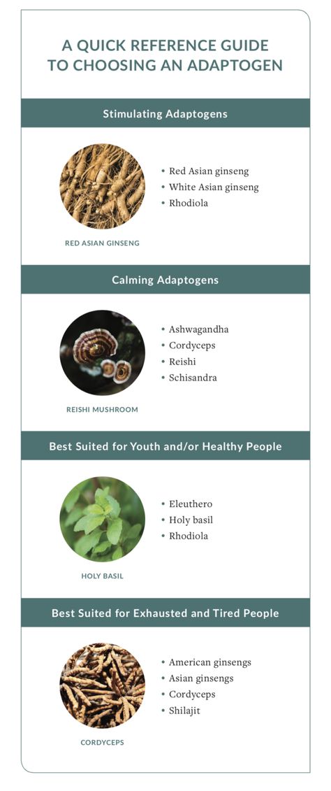 Guide to choosing adaptogens for health benefits 👌 Dopa Mucuna Benefits, Wild Dagga Benefits, What Are Adaptogens, Mucuna Benefits, Reishi Benefits, Adaptogens Benefits, Eleuthero Benefits, Wild Yam Benefits, Astragalus Benefits