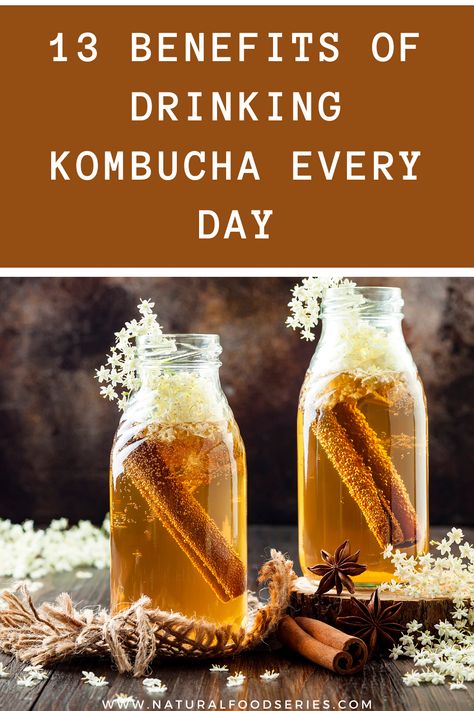 Kombucha is considered to be a drink of health and most people who drink it implicate that they feel better and more energized. To further highlight the health benefits of Kombucha we have accumulated a list of its various benefits.#kombucha Benefits Of Kombucha Every Day, Health Benefits Of Kombucha, Kombucha Health Benefits, Benefits Of Kombucha, Kombucha Drink, Kombucha Benefits, Probiotic Benefits, Homestead Ideas, Kombucha