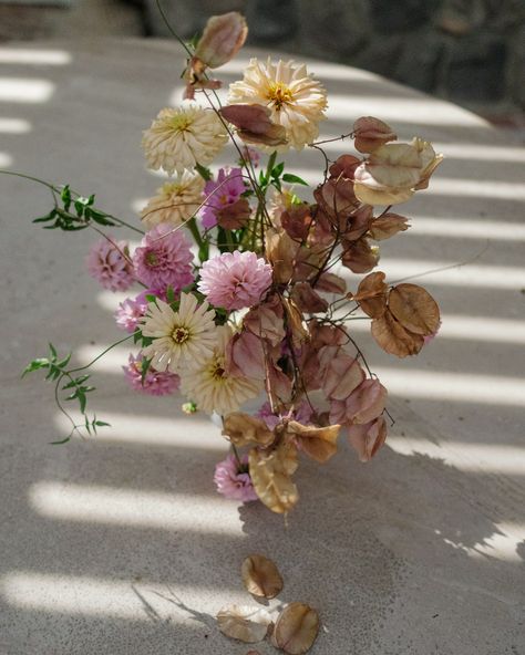 We still have dahlias and zinnias in the garden but it’s the golden fall after all. #garden #autumn #fallvibes #fallwedding #weddingflorals #losolivos #santaynezwedding #santaynezflorist Santa Ynez Wedding, Santa Ynez, Fall Vibes, In The Garden, Dahlia, The Golden, Fall Wedding, Floral Wedding, The Garden