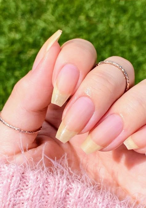 Nail Claim, Makeup Aesthetic Natural, Nature Wallpaper Home, Natural Hairstyles For Short Hair, Hairstyle Natural Hair, Coffin Ombre, Natural Hair Styling, Paint Nature, Long Natural Nails