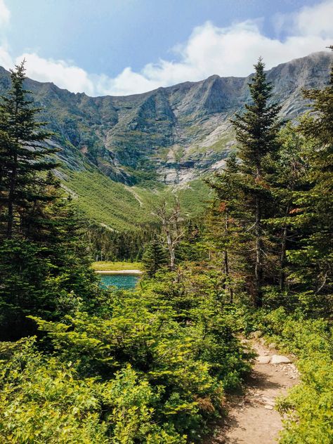 Hiking In Maine, Hiking Maine, Maine Mountains, Maine Forest, Maine Aesthetic, Maine Hiking, Maine Summer, 2024 Moodboard, Mountain Summer