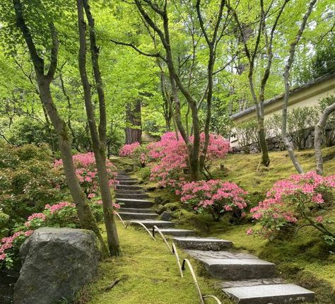 Photos & Videos Archives – Portland Japanese Garden Creek Landscaping, Fluffy Flowers, Portland Japanese Garden, Japan Garden, Dogwood Trees, Lake Oswego, Garden Aesthetic, Japanese Gardens, Landscape Trees