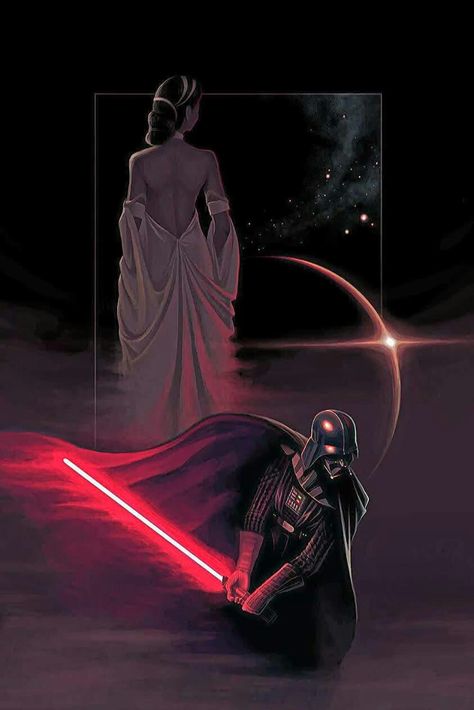 Padme and Darth Vader #starwars #starwarsart #starwarsfanart Star Wars Logos, Star Wars Canvas Art, Star Wars Padme, Star Wars Painting, Anakin Vader, Storm Troopers, Star Wars Character, Star Wars Sith, Ralph Mcquarrie