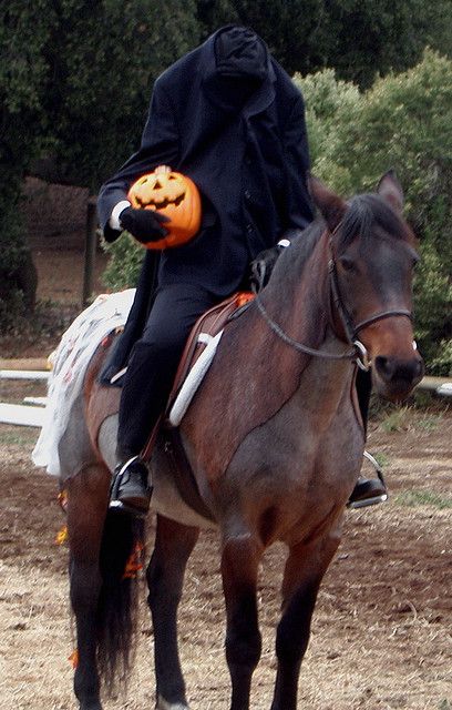 Horse Halloween Ideas, Horse Fancy Dress, Sleepy Hollow Headless Horseman, Horse Halloween Costumes, Horse Halloween, Sleepy Hallow, Fair Costume, Pumpkin Show, Horse Showing