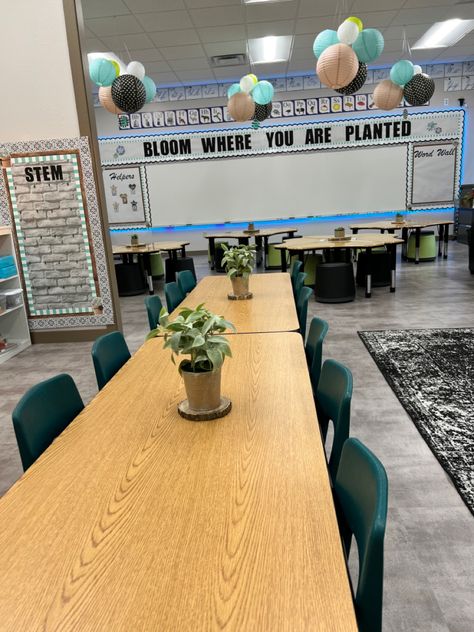 Bloom Where You Are Planted Classroom, Wood Classroom Decor, Emerald Green Classroom Decor, Green Classroom Theme, Plants Classroom, 100 Acre Wood, Classroom Seating, Green Accent Walls, Teachers Lounge