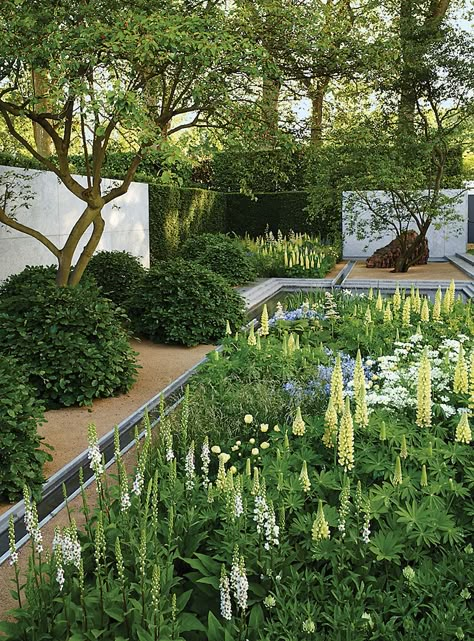 Houston's Most Amazing Private Garden? World Champion Gardening Star Jets in From London to Work His Magic | PaperCity Magazine Luciano Giubbilei, Moderne Have, Bed Inspo, Dry River, Chelsea Garden, River Bed, Flower Garden Design, Modern Garden Design, Contemporary Garden