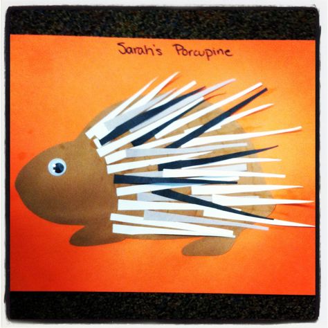 P - porcupine Porcupine Craft, Porcupine Preschool Craft, Porcupine Leaves Craft, A Porcupine Named Fluffy Activities, Porcupine Quills Diy, Porcupine Quills Decor, Toddler Classroom, Animal Science, Abc 123