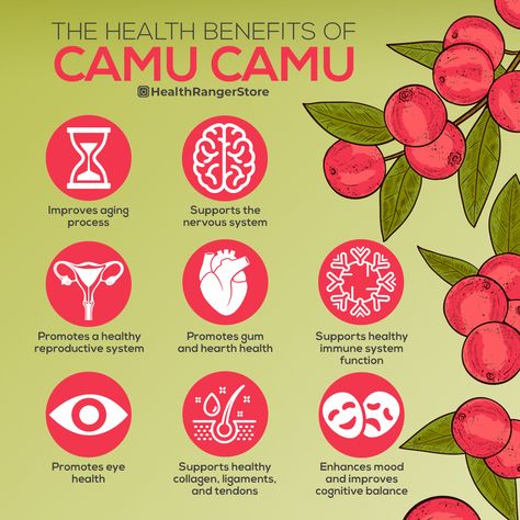 Camu Camu Benefits, Uva Ursi Benefits, Inulin Benefits, Tomato Nutrition, Calendula Benefits, Camu Camu, Medical Herbs, Food Health Benefits, Matcha Benefits