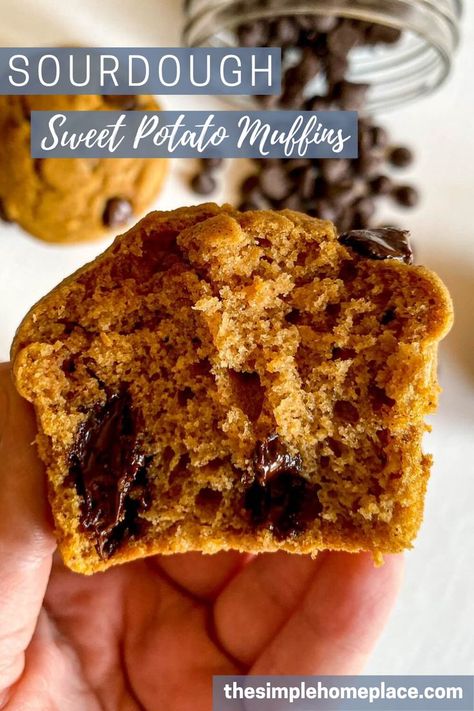 Are you looking for a delicious way to use up your sourdough starter? Look no further! These delicious muffins are moist, full of flavor and the perfect fall snack! Follow the link for the full tutorial! #sweetpotato #muffins #fallfood #sourdough Sweet Potato Sourdough, Healthy Sweet Potato Muffins, Sweet Potato Muffin Recipe, Muffins With Chocolate Chips, Sweet Potato Cupcakes, Dairy Free Muffins, Muffins With Chocolate, Raw Sweet Potato, Healthy Sweet Potato