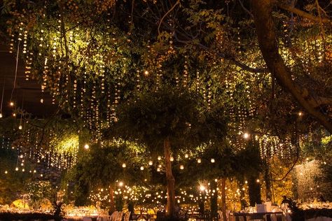 Garden Wedding Night Lights, Wedding Nature Theme, Luxury Marriage, Twilight Wedding, Forest Theme Wedding, Groom Photography, Enchanted Forest Wedding, Dream Wedding Venues, Forest Theme