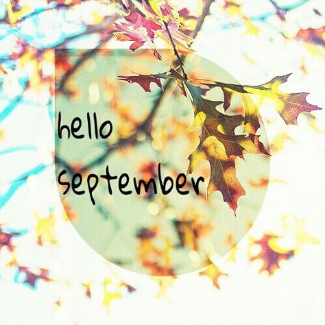 Hello September month september hello september september quotes September Facebook Cover, Hello September Month, Hello September Images, September Hello, Led Flower Crown, September Pictures, September Images, September Month, September Quotes