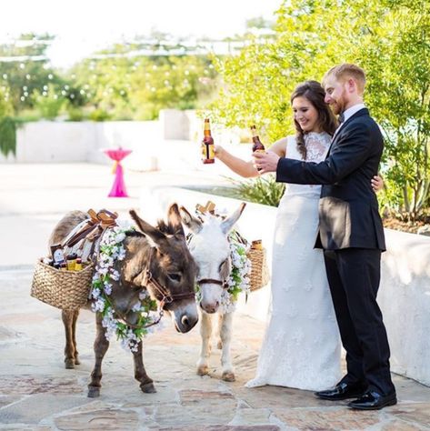 Couples hiring donkeys called 'beer burros' to serve drinks at weddings - INSIDER Mini Donkey, Beer Wedding, Rodeo Cowboys, Cabo Weddings, Wedding Set Up, Event Planning Company, Wedding Drink, Baby Cowboy, The Donkey