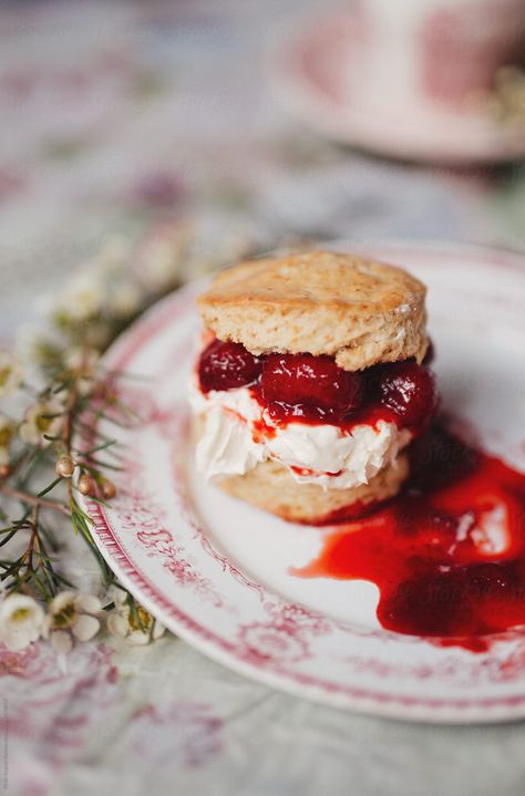 Scone with clotted cream and strawberry jam on a rustic, floral pattern surface Scones And Jam, Cream Scones, Brunch Time, Beautiful Desserts, Clotted Cream, Fresh Cream, Strawberry Jam, Breakfast Food, Breakfast Dessert