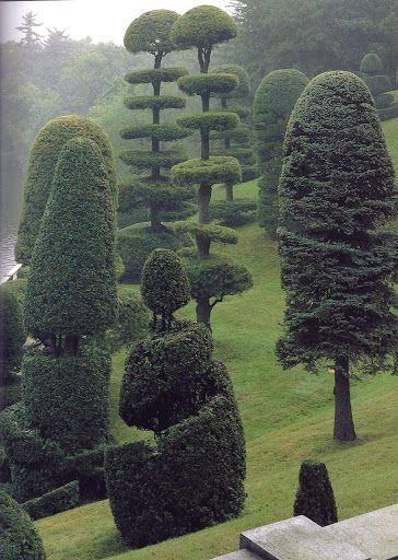 Wellesley Massachusetts, Topiary Garden, Topiary Trees, Italian Garden, Topiaries, Formal Gardens, Japan Design, Alam Yang Indah, The Grass