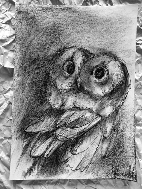 Drawing Owl, Owl Sketch, Charcoal Painting, Painting Realistic, Owl Drawing, Owl Artwork, Tawny Owl, Drawing Charcoal, Art Charcoal