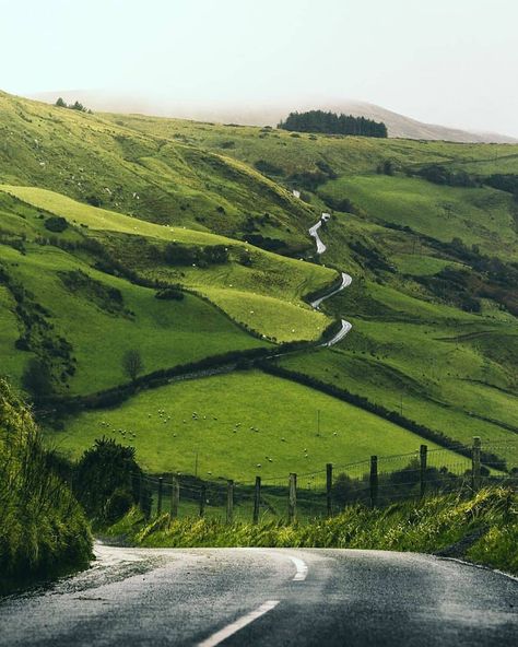 Gefällt 4,263 Mal, 36 Kommentare - BEST OF IRELAND (OFFICIAL) (@best_of_ireland) auf Instagram: „The perfect view of the road on the way to your next staycation 💚⁣ ⁣ ⁣⁣ ⁣⁣⁣Follow 👉…“ Causeway Coast, Ireland Aesthetic, Ireland Country, Best Of Ireland, Ireland Road Trip, Ireland Travel Guide, Irish Landscape, Beautiful Countries, Ireland Landscape