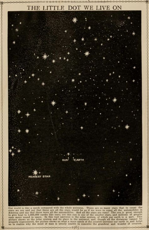 Vintage Astronomy Prints Wallpaper, Star Poster Aesthetic, Astronomy Art Vintage, Astronomy Vintage, Astrology Wallpaper, Dark Academia Posters, Vintage Astronomy Prints, Stars Poster, Vintage Astronomy