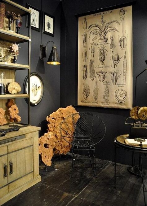 Against a dark background, wall art that would  normally blend in becomes a focal point. Antiques and naturalistic accessories (like the fossilized rocks and botanical wall hanging here) look more modern against black paint and stop the “living in a museum” feel in its tracks. Décor Steampunk, Steampunk Bedroom, Steampunk Home Decor, Steampunk House, Vintage Industrial Decor, Decor Ikea, Steampunk Decor, Dark Walls, Black And White Decor