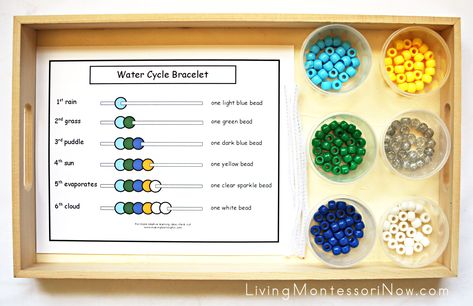 Water Cycle Chart, Fancy Classroom, Water Cycle Game, Water Cycle Anchor Chart, Water Cycle Song, Water Cycle Craft, Water Cycle Lessons, Water Cycle Model, Water Cycle Poster