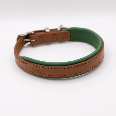 Padded Leather Dog Collar Tan and Clover - ML / Brass / Yes Padded Lead Dog Leather Collar, Leathercraft Projects, Turquoise Dog Collar, Handbags Diy, Saddleback Leather, Dog Accesories, Velvet Dog Collar, Personalized Leather Dog Collar, Leather Dog Collar Custom