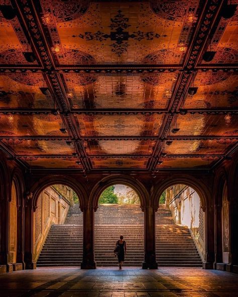 Travel New York City on Instagram: “Bethesda Terrace Arcade in Central Park📍 ⠀ 📸| @rkat414⁠⠀” Bethesda Terrace, Engagement Photos Nyc, Nyc Pics, New York City Pictures, Autumn In New York, New York Pictures, Park Pictures, New York Photos, City Pictures