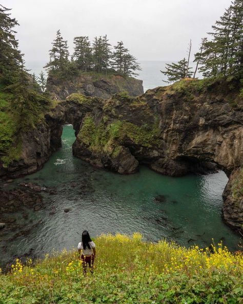 My Favorite Photography Spots at Samuel Boardman — Oregon Living In Oregon, Pnw Trip, Oregon Trip, Travel Oregon, Southern Oregon Coast, Oregon Hikes, Oregon Photography, Oregon Road Trip, Fort Bragg