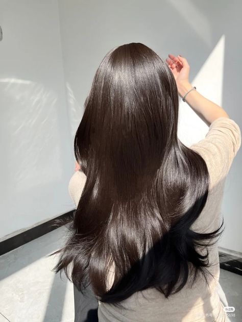 Long Shiny Hair, Hair Style Korea, Hair Inspiration Long, Long Healthy Hair, Luscious Hair, Silk Hair, Asian Hair, Silky Hair, Dream Hair