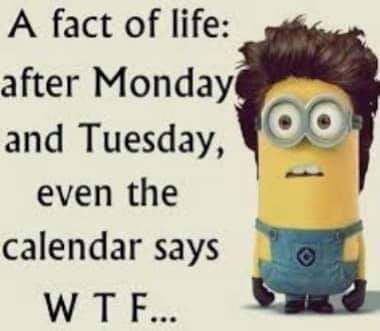 Minion Comebacks, Motivational Life Quotes, Funny Quotes Wallpaper, Funny Mean Quotes, Funny Minion Pictures, Mean Humor, Funny Minion Memes, Funny Day Quotes, Disney Quotes Funny