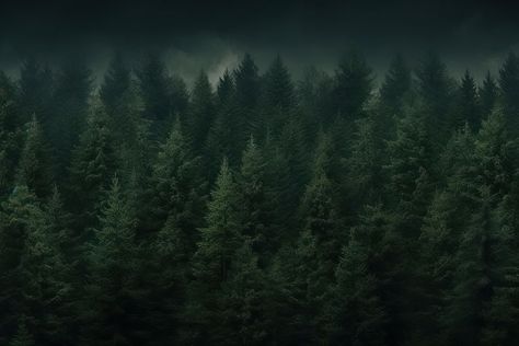 Deep pine forest background backgrounds outdoors woodland. | free image by rawpixel.com / PLOYPLOY Dark Forest Wallpaper Desktop, Dark Green Wallpaper Laptop, Forest Desktop Wallpaper, Dark Forest Background, Christmas Desktop Wallpaper, Dark Green Wallpaper, Christmas Desktop, Conifer Trees, Webdesign Inspiration