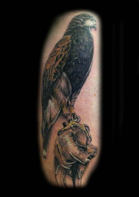 Harris Hawk bird glove tattoo by Ray Tutty | Flickr - Photo Sharing! Harris Hawk Tattoo, Bird Of Prey Tattoo, Harris Hawk, Hawk Bird, Hawk Tattoo, Explore Tattoo, Cool Small Tattoos, Tattoo You, Skin Art