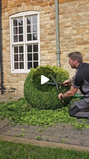 H E D G E L O V E R _ 💚💚 on Instagram: "@the_hedge_barber showing us how it's done.. 💚
.
.
.
.
.
.
.
.
#hedgelover_ #topiarylover_ #skills
#nature #gardening #topiary #oddlysatisfying #fyp #beforeandafter #handclipped #gardens" Boxwood Topiary Garden, Hedge Driveway, Buxus Garden Ideas, Topiary Garden Ideas, Box Hedge Border, Front Yard Hedges, Box Hedges, Box Hedge, Lawn Striping