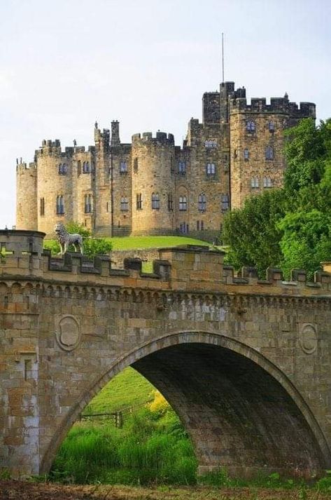 Alnwick Castle England Vila Medieval, Castle England, Alnwick Castle, Old Castle, Chateau Medieval, English Castles, Castles In England, Castle In The Sky, Chateau France