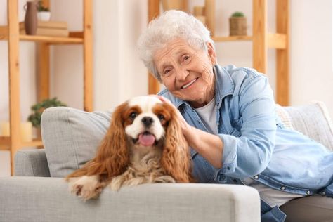 8 Dog Breeds For The Elderly Living Alone Best Dogs For Seniors, Small Dog House, Dog Car Accessories, Dog Lover Jewelry, Premium Dog Food, Doggie Daycare, Dog Garden, Dog Car Seat Cover, Sense Of Purpose