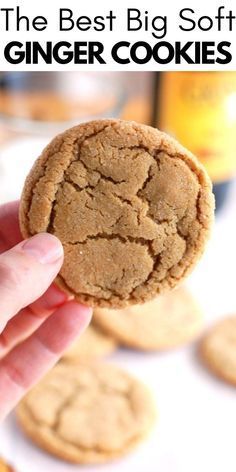 Chewy Ginger Cookies Soft, Soft Ginger Snap Cookies Recipes, Homemade Ginger Cookies, Soft And Chewy Ginger Cookies, Soft Ginger Snaps Cookies, Ginger Snap Cookies Soft, Soft Ginger Snaps, Molasses Ginger Cookies Soft, Soft Chewy Ginger Cookies