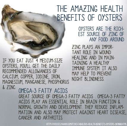 #Health #benefits of #oysters Oysters Benefits, Maca Tea, Nutrition Notes, Ocean Awareness, Fish Facts, Whitstable Kent, Oyster Knife, Oyster Roast, Healthy Body Healthy Mind