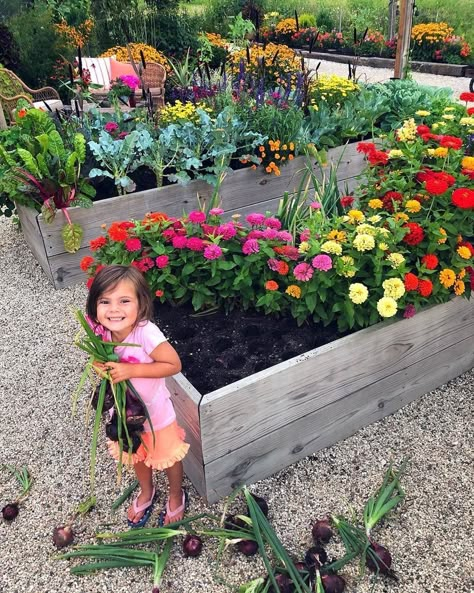 Potager Garden, Veg Garden, Cut Flower Garden, Have Inspiration, Find Joy, Garden Layout, Veggie Garden, Garden Cottage, Farm Gardens