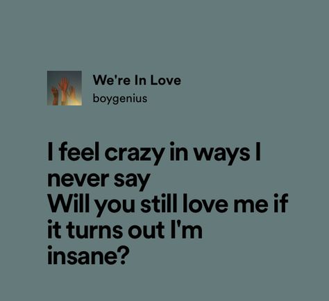 Insane Love, I Am Insane, Am I Crazy, Am I In Love, Do You Know Me, Writing Therapy, Character Quotes, Mood Songs, Just Lyrics