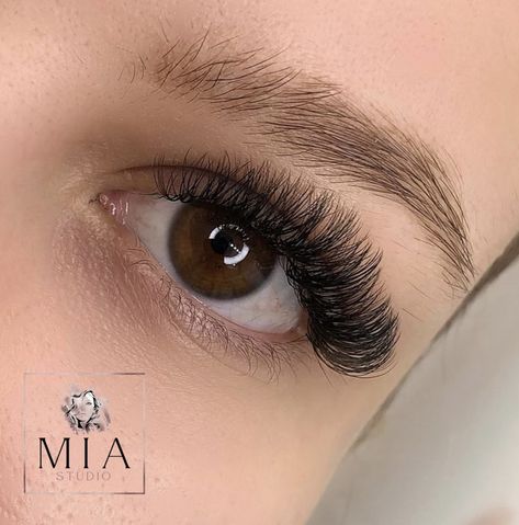 Volume - 3D, curl D, height 0,10mm, size 8-12 3d Volume Lash Extensions, 3d Lash Extensions, Studio Lash, 3d Lash, Volume Lash Extensions, 3d Lashes, Lash Extension, Volume Lashes, Lash Extensions