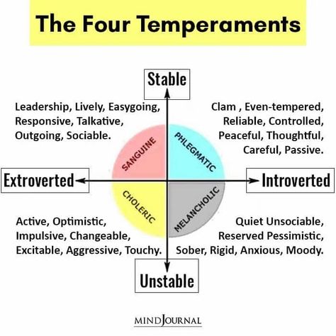 The Four Humours, The Four Temperaments, 4 Temperaments Personality Types, Phlegmatic Temperament, Temperaments Personality, 4 Temperaments, Temperament Types, Four Temperaments, All Personality Types