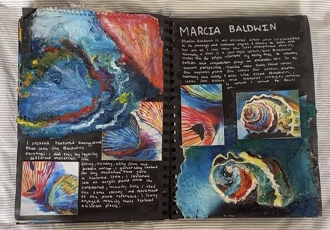 Marcia Baldwin Art, Art Sketchbook Presentation, Marcia Baldwin Artist Research Page, Shells Gcse Art Sketchbook Pages, Natural Forms Art Alevel, Art Gcse Layout Ideas, Art Alevel Pages, Gcse Art Sketchbook Natural Forms, Gcse Art Sketchbook Layout Ideas