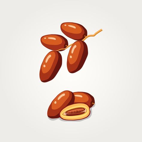 Dates Illustration Fruit, Dates Drawing, Food For Iftar, Dates Illustration, Older Men Quotes, Dates Fruit, Ramadan Illustration, Ramadan Dates, Dating Red Flags