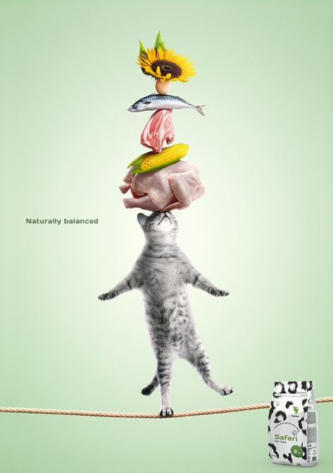 Pet Advertising, Pet Nutrition, 광고 디자인, Publicidad Creativa, Food Advertising, Animal Nutrition, Creative Poster Design, Creative Posters, Creative Ads