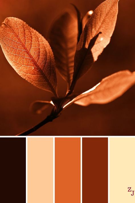 ZJ Colour Palette 1263 colourpalettes colourinspirationColour colourinspiration colourpalettes palette Check more at ://kaffee.wetterpin.site/zj-colour-palette-1263-colourpalettes-colourinspiration/ Rust Color Schemes, Farmhouse Color Scheme, Brown Color Scheme, Living Room Wall Color, Brown Color Schemes, Stunning Hairstyles, Paint Color Palettes, Brand Color Palette, Brown Colour