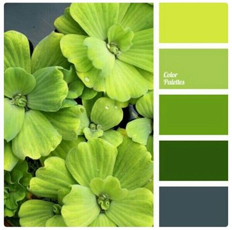 Pallets Color, In Color Balance, Yellow Color Combinations, Palettes Color, Combination Color, Green Color Combinations, Color Palette Ideas, Chartreuse Color, Verde Lima