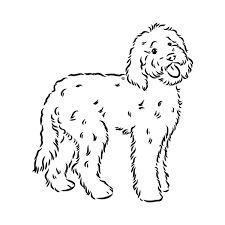 Simple Poodle Drawing, Labradoodle Outline, Cockapoo Drawing Simple, Labradoodle Drawing Simple, Golden Doodle Sketch, Cockapoo Outline, Bernedoodle Drawing, Goldendoodle Outline, Doodle Dog Tattoo