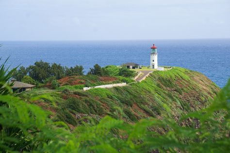 Kilauea Lighthouse on Kauai: Tips for Visiting – It Started Outdoors Kilauea Lighthouse, Hawaii Things To Do, Hawaii Travel, Kauai, Lighthouse, Golf Courses, A Photo, Hawaii, Things To Do