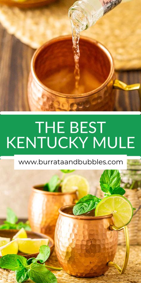 Whiskey Moscow Mule Recipe, Whiskey Mule Recipe, Bourbon Mule Recipe, Whiskey Mule, Bourbon Mule, Ginger Beer Drinks, Bourbon Drinks Recipes, Kentucky Mule, Mule Drink