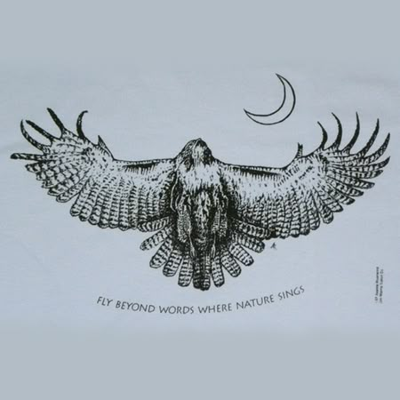 Red tailed hawk Red Tail Hawk, Hawk Tattoo, Cowboy Tattoos, Poke Me, Cooper's Hawk, Red Tailed Hawk, Momento Mori, Kestrel, Beyond Words